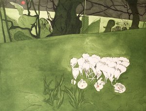 Crocus - Valerie Daniel